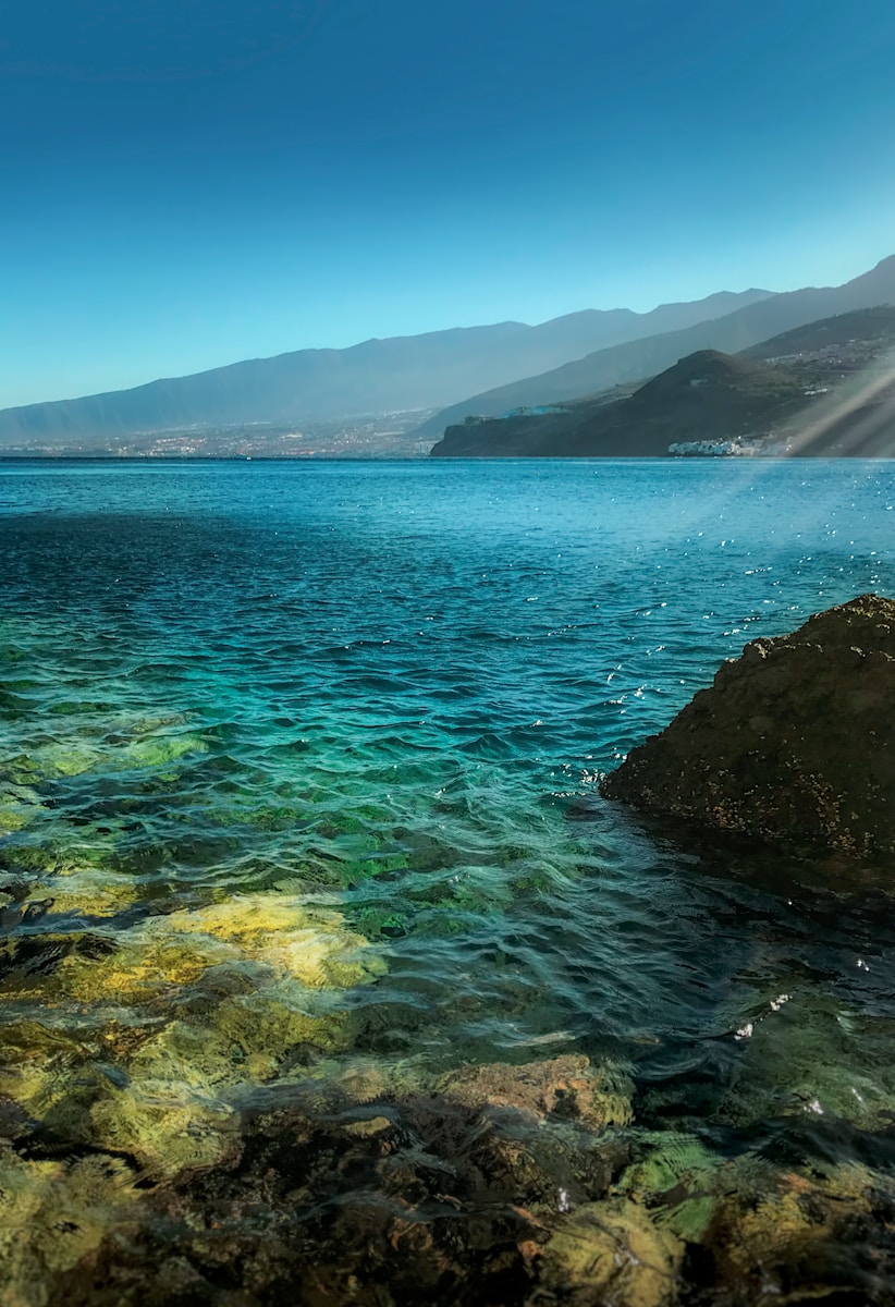 7 Things No One Tells You About Visiting Tenerife (But You’ll Be Glad You Knew!)