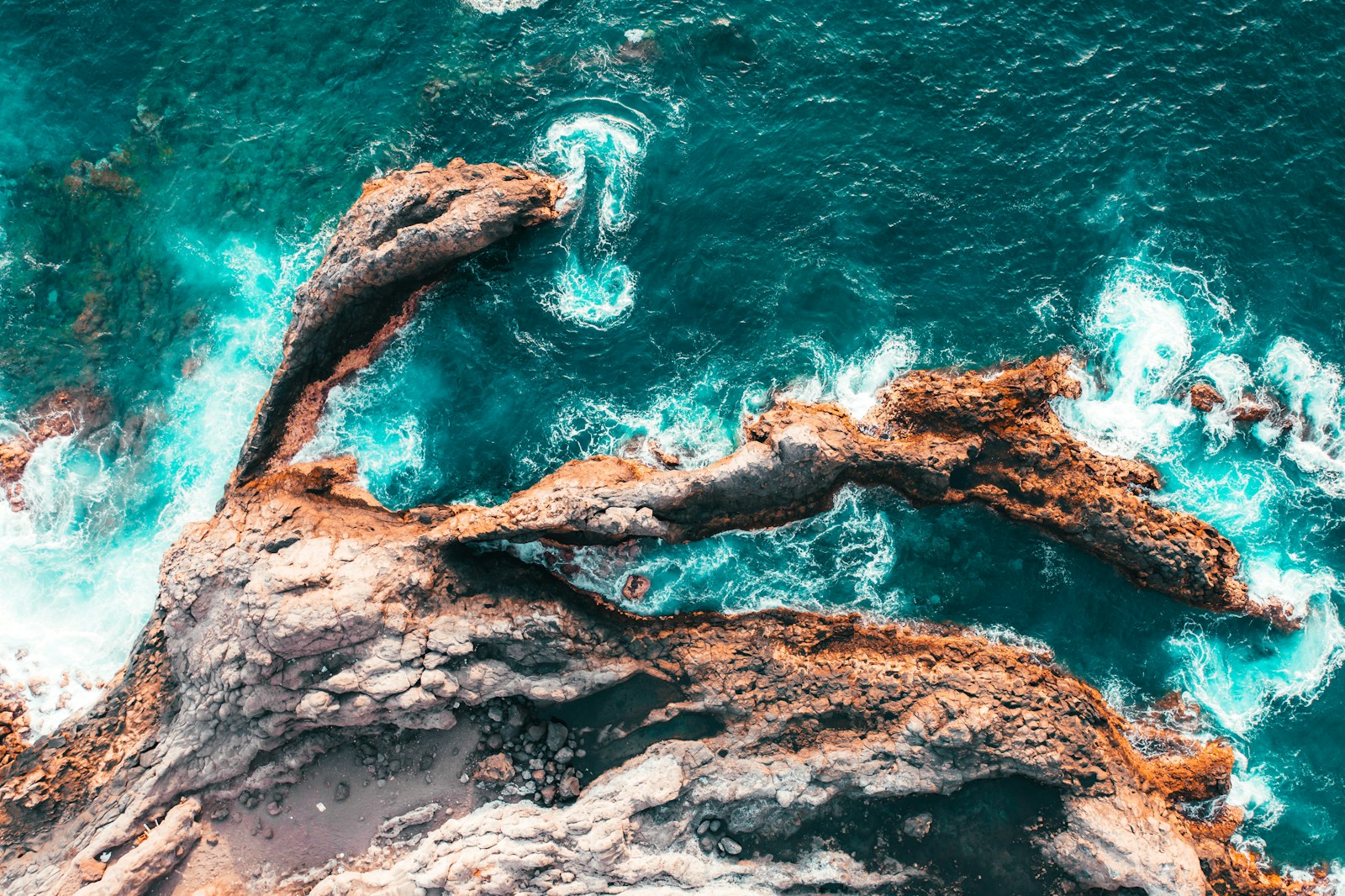 7 Shocking Reasons Why Santa Cruz de Tenerife Isn’t Just a Cruise Stop (And What You’re Missing)