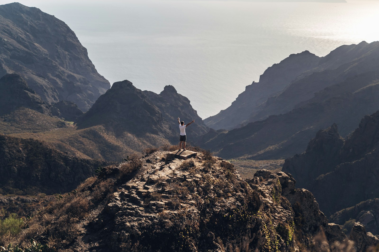 Is Los Gigantes Worth Visiting? 7 Pros and Cons to Know Before You Go