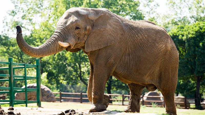 Is Hluhluwe Safe for Tourists? What We Really Experienced