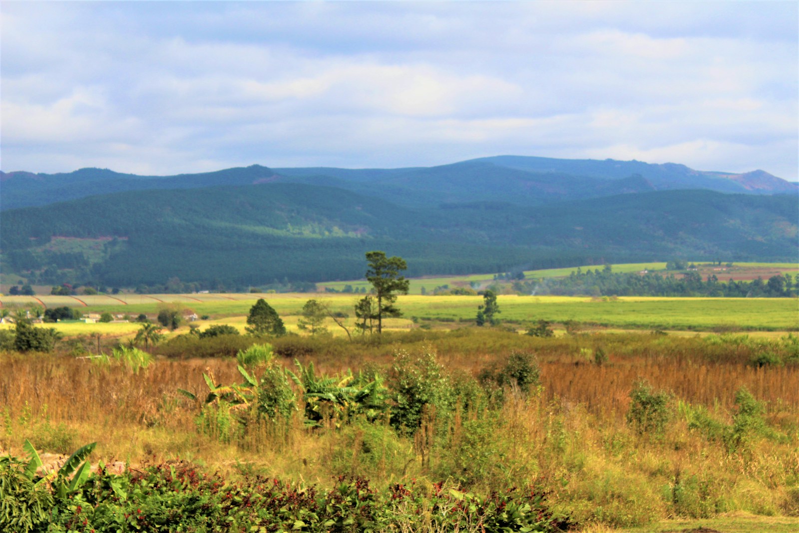 Is Zimbabwe Safe to Visit? Here’s the Truth for Travelers