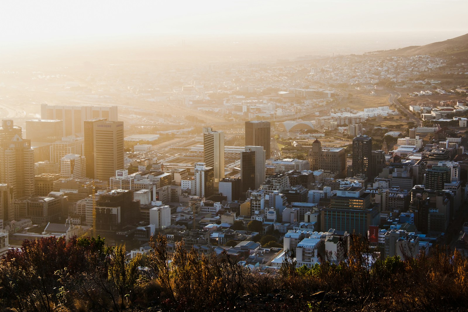 Ultimate City of Cape Town Travel Guide