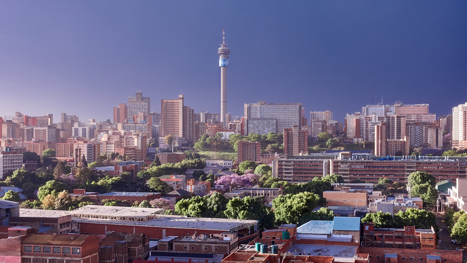 Johannesburg Weather: What to Expect Each Season