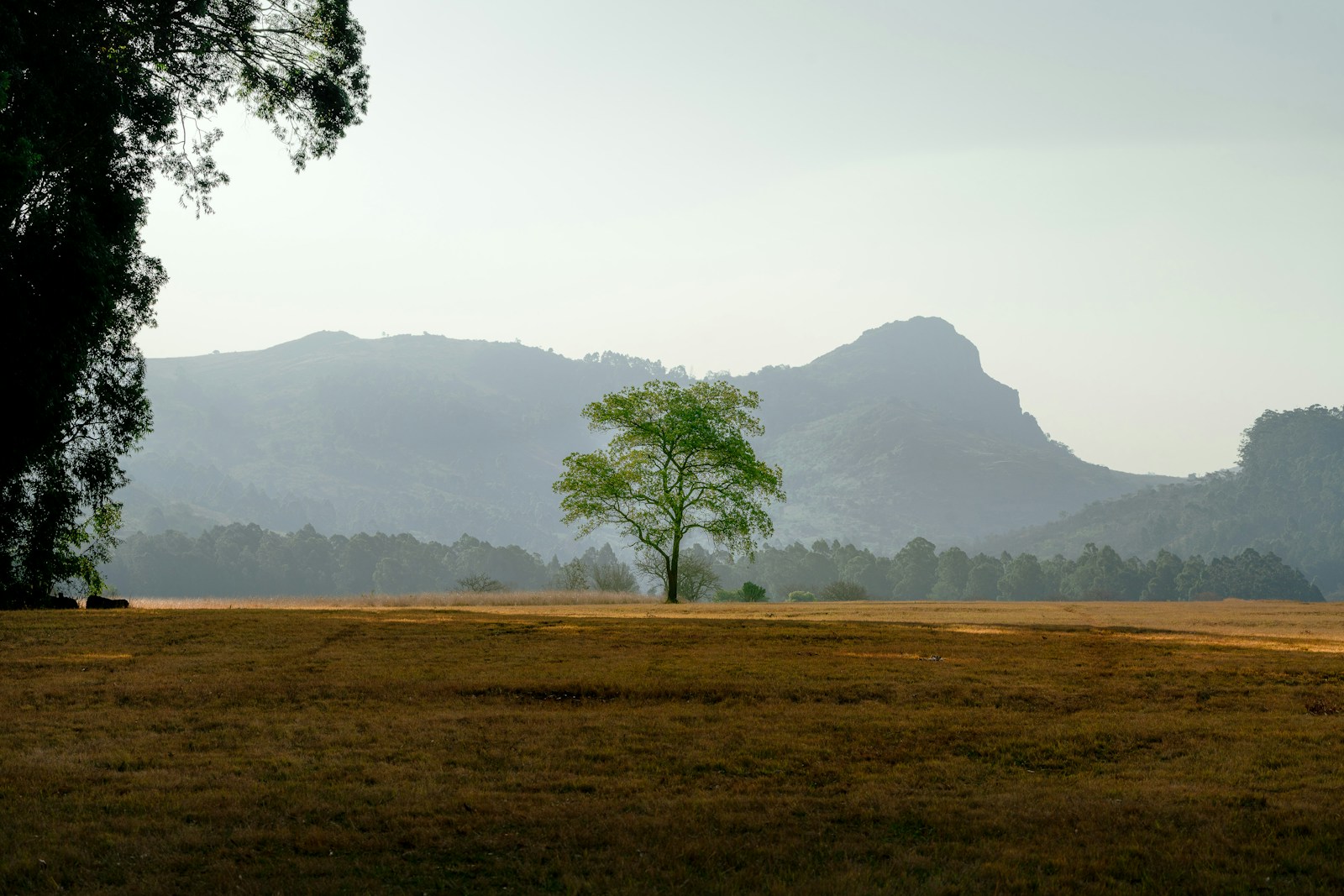 E-Swatini Capital Travel Guide: Culture, Markets & Mountain Views