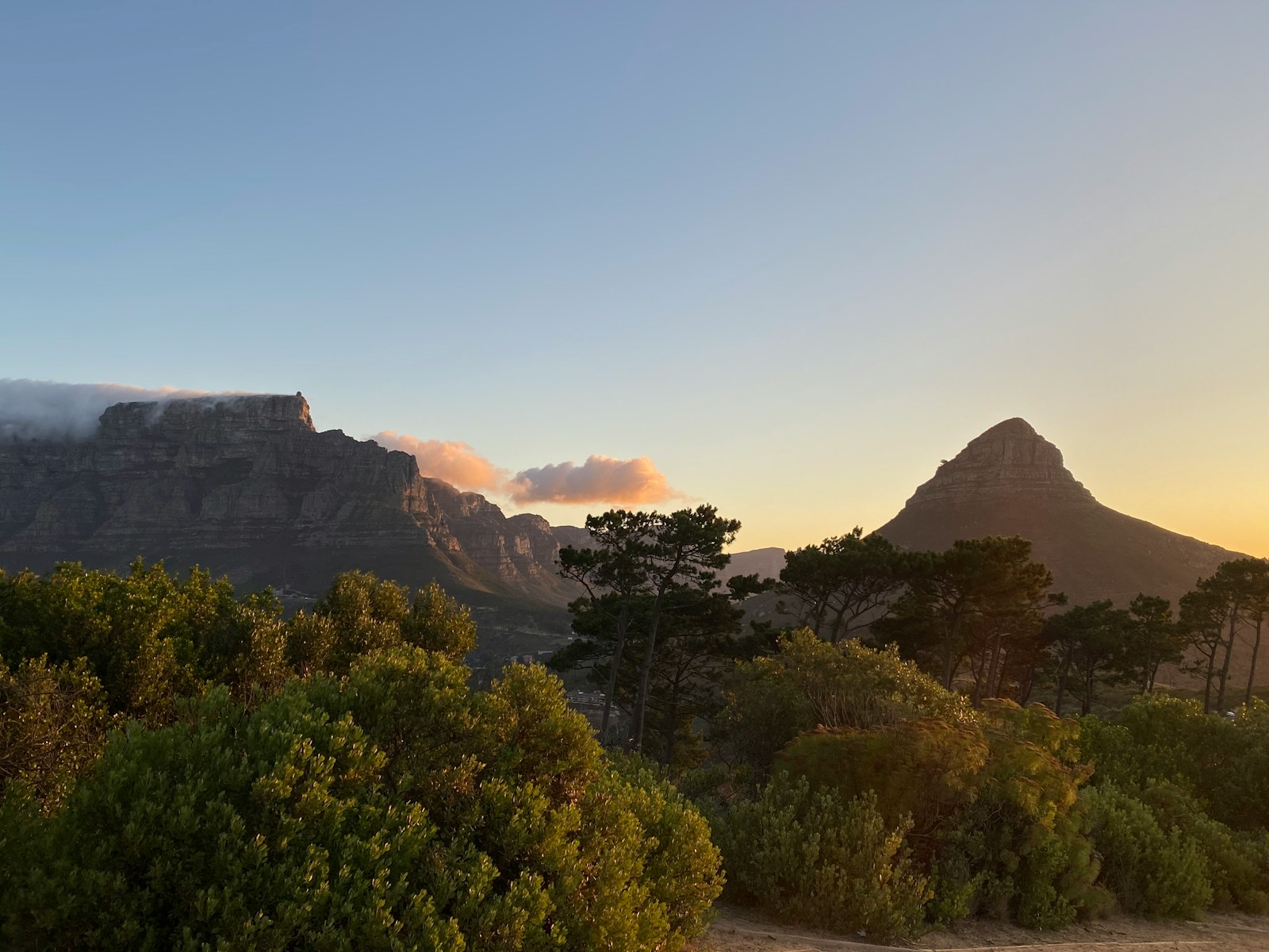 Cape Town Table Mountain: The Ultimate 2026 Guide