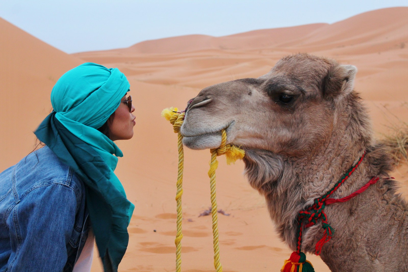 Marrakech Things to Do: 15 Unmissable Experiences