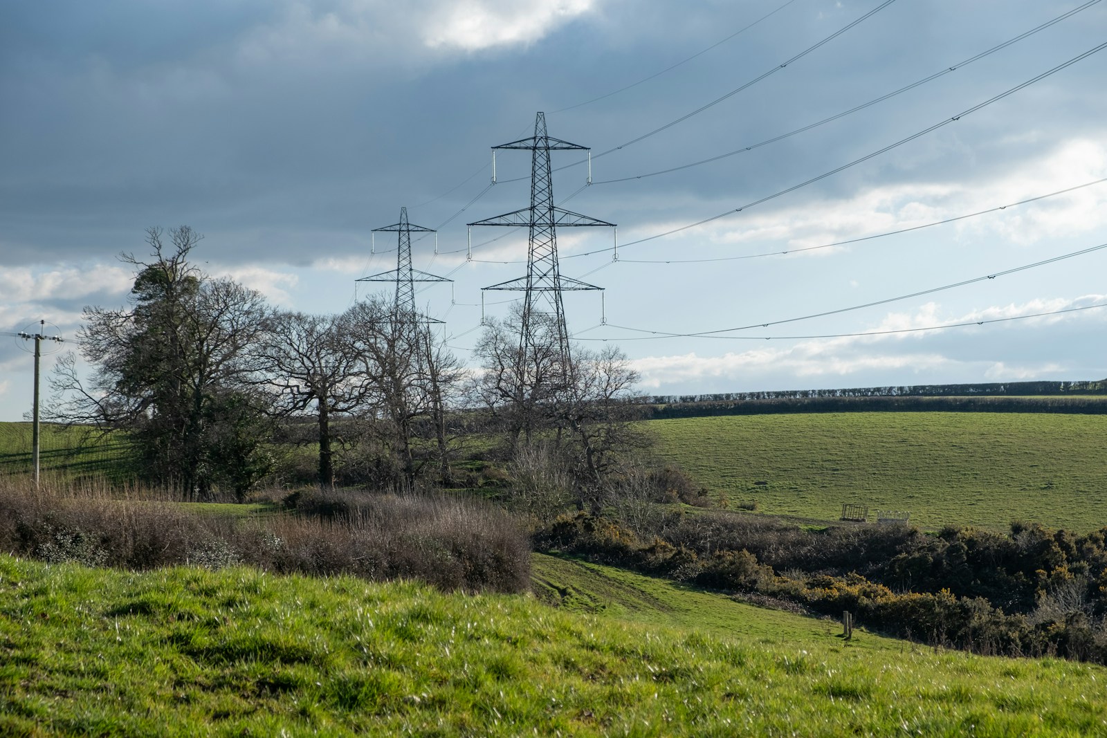 Power lines tower over a green field landscape.