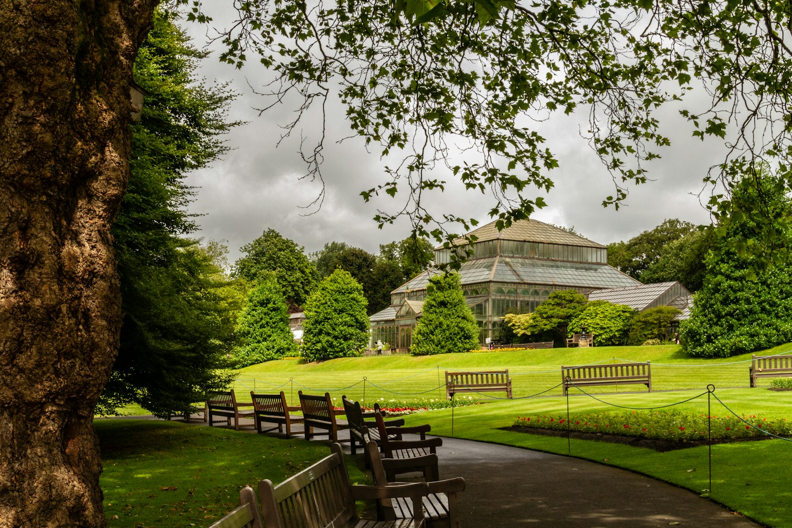 Inside the Glasgow Botanic Gardens: What to See & Skip