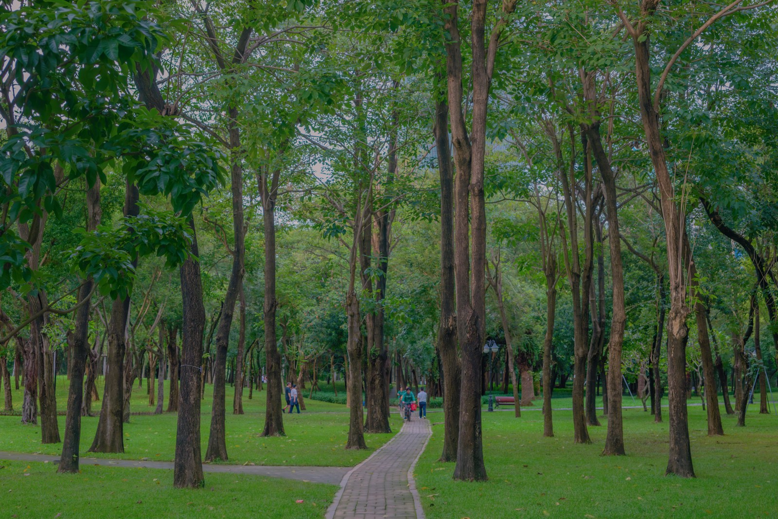 Green Park Secrets: What Most Tourists Totally Miss