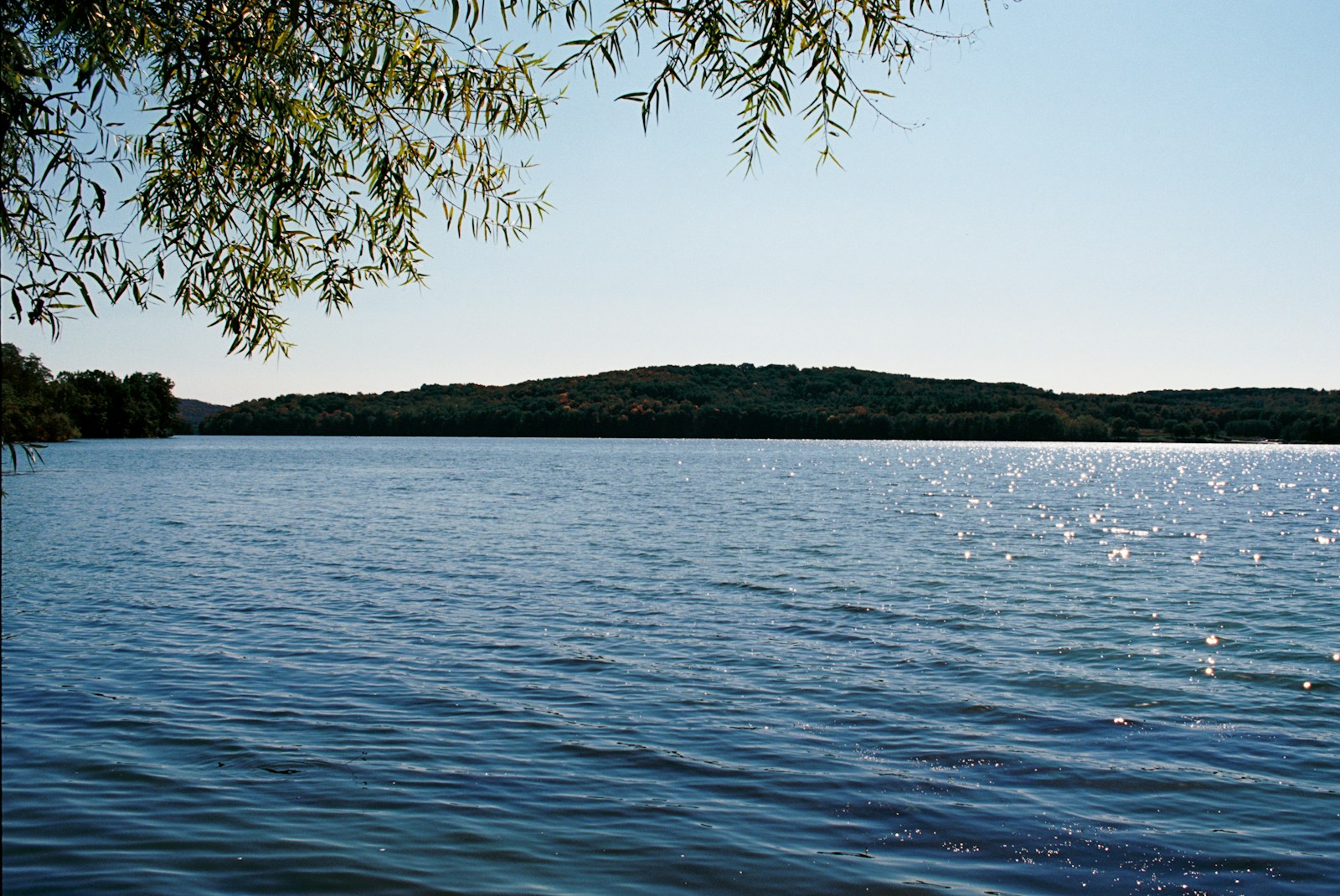 A body of water surrounded by trees and a hill