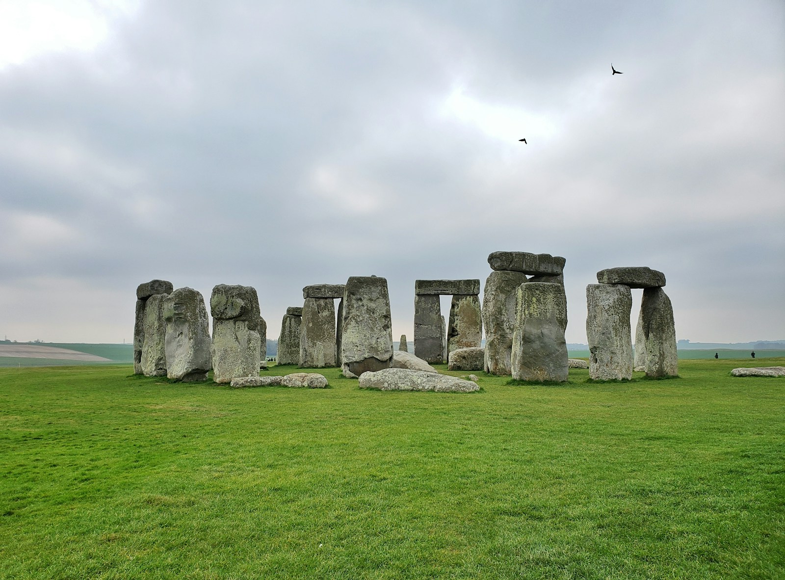 gray rock formation on green grass field under white sky during daytime