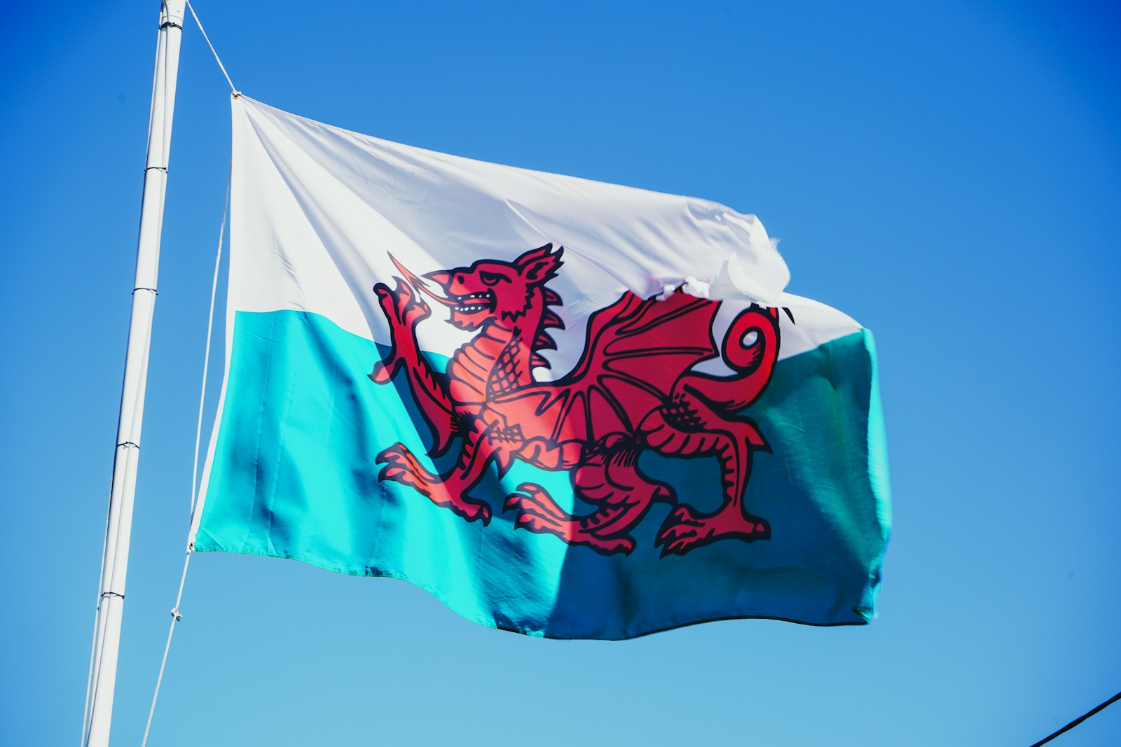 The Wales Flag: What the Dragon Really Means