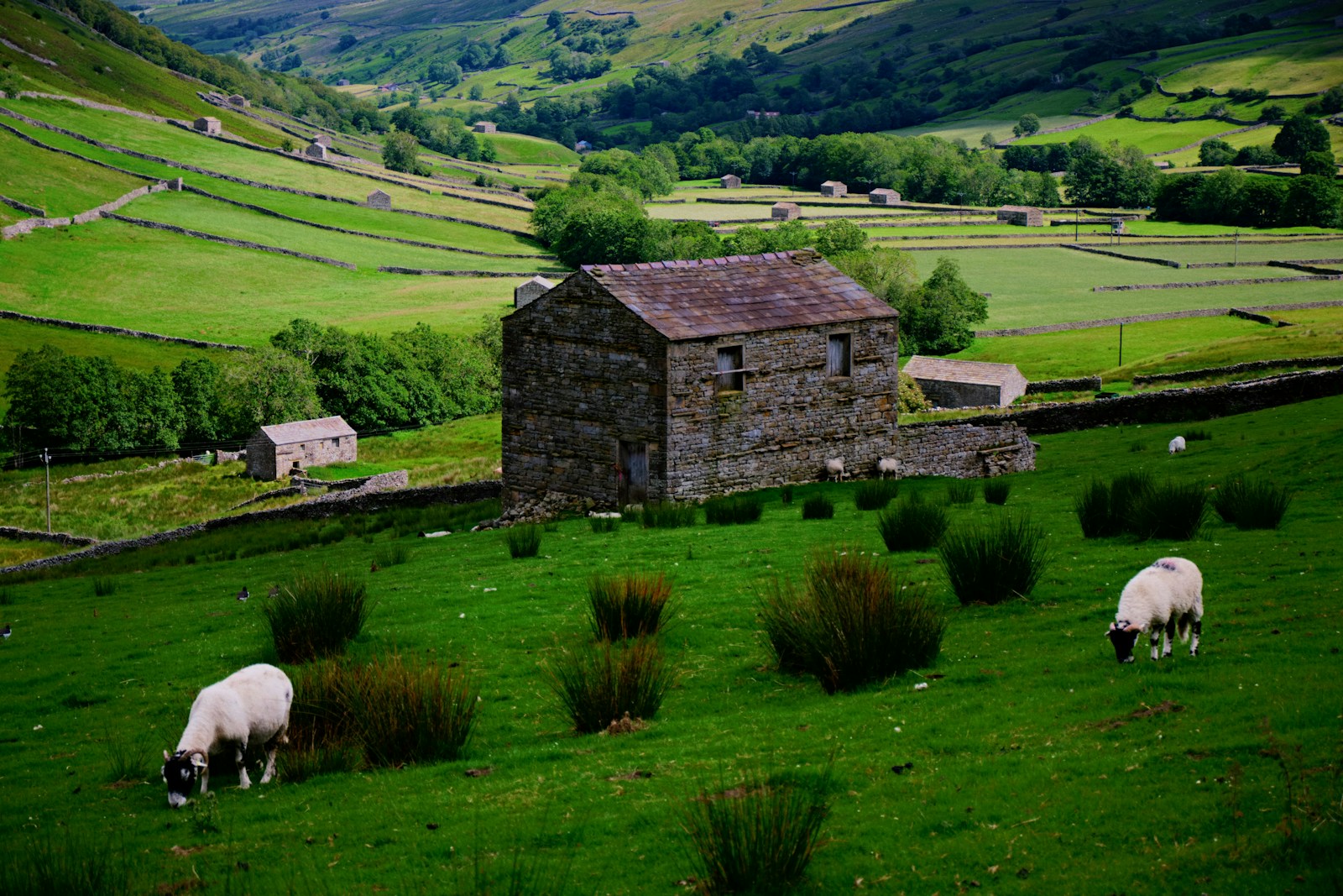 England Yorkshire Dales: Best Walks, Villages & Views for First-Timers