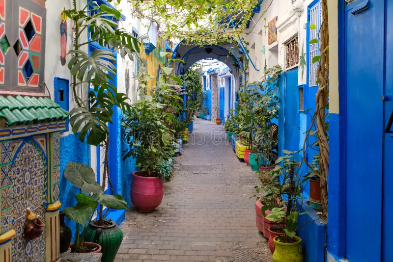 Tangier Medina: What No One Tells You