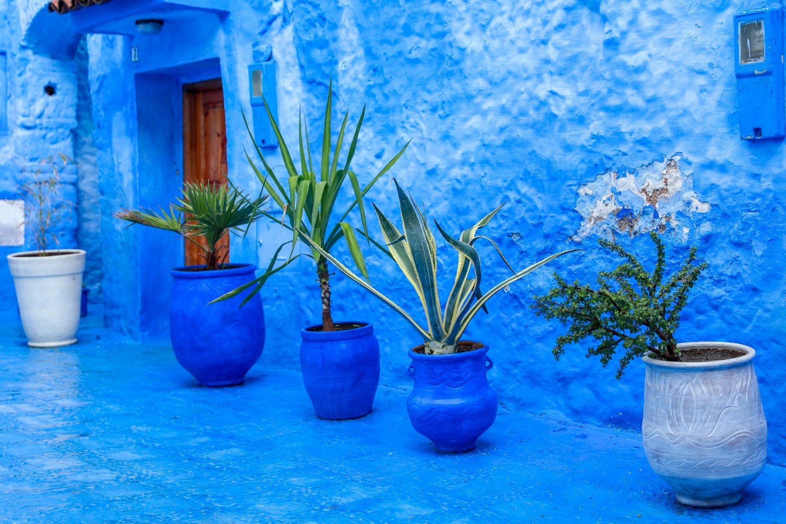 10 Dreamy Things to Do in Chefchaouen (Beyond the Blue Walls)