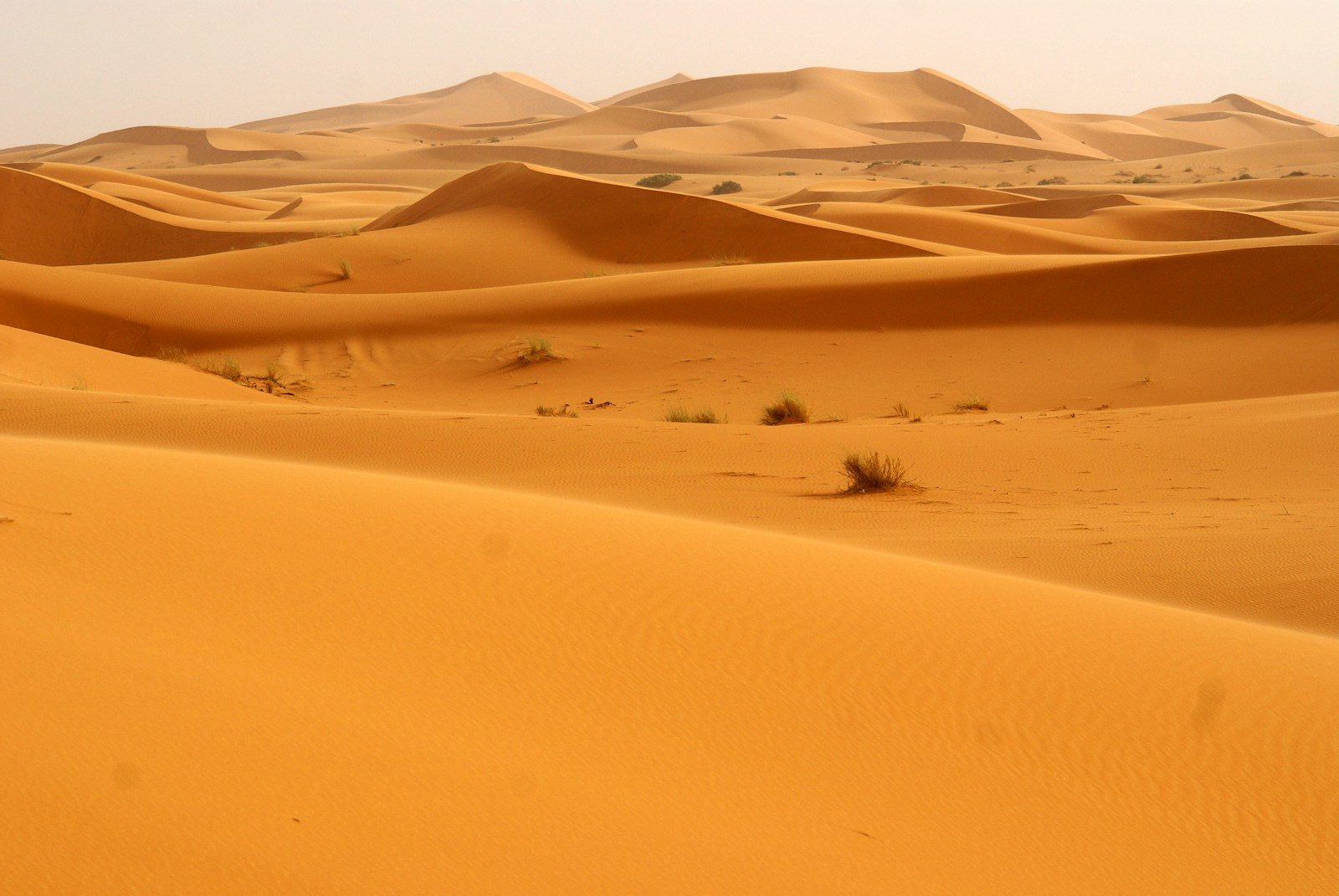 Is Morocco Too Hot in Summer? Here’s the Truth