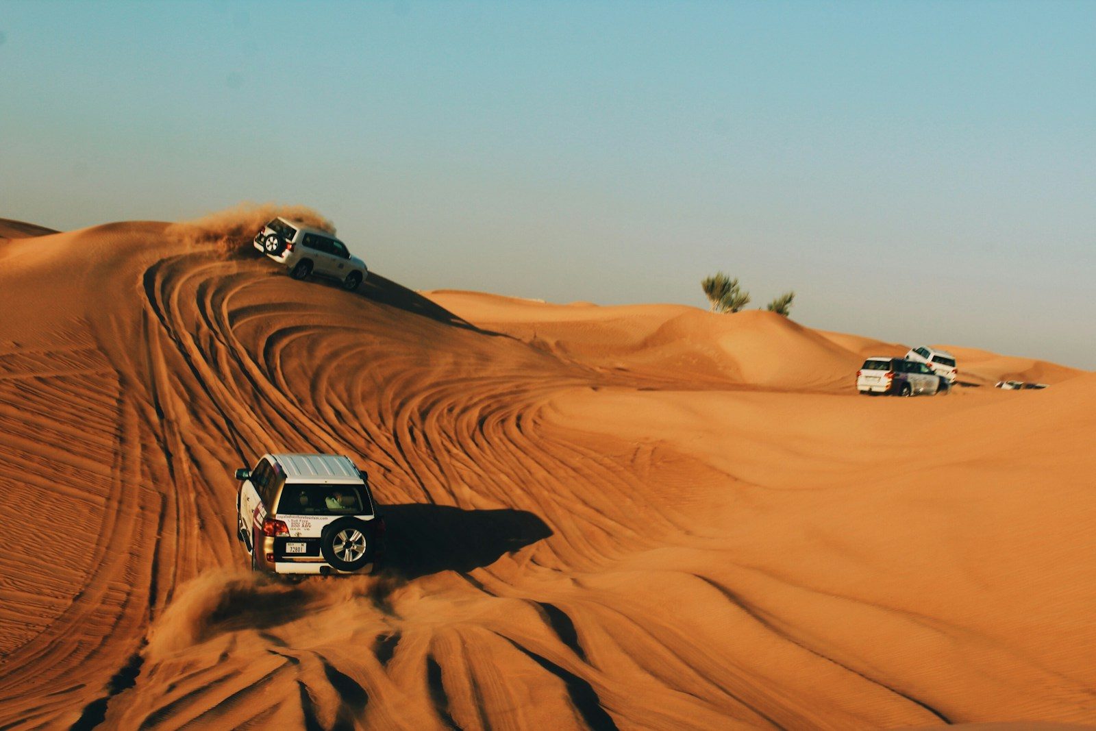 7 Things No One Tells You About Dubai Desert Safaris (But We Will)