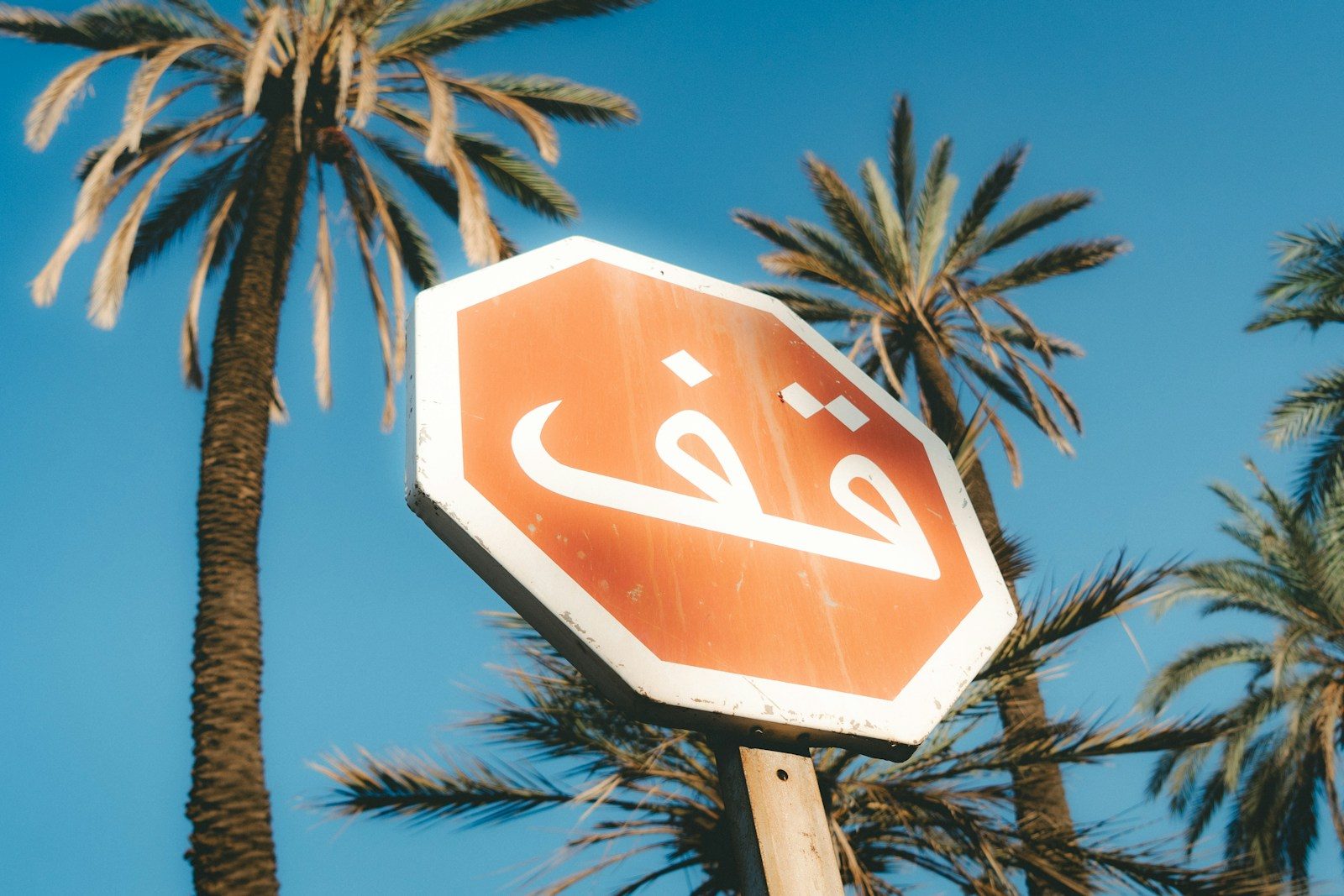 7 Surprising Facts About the Morocco Language You Didn’t Know
