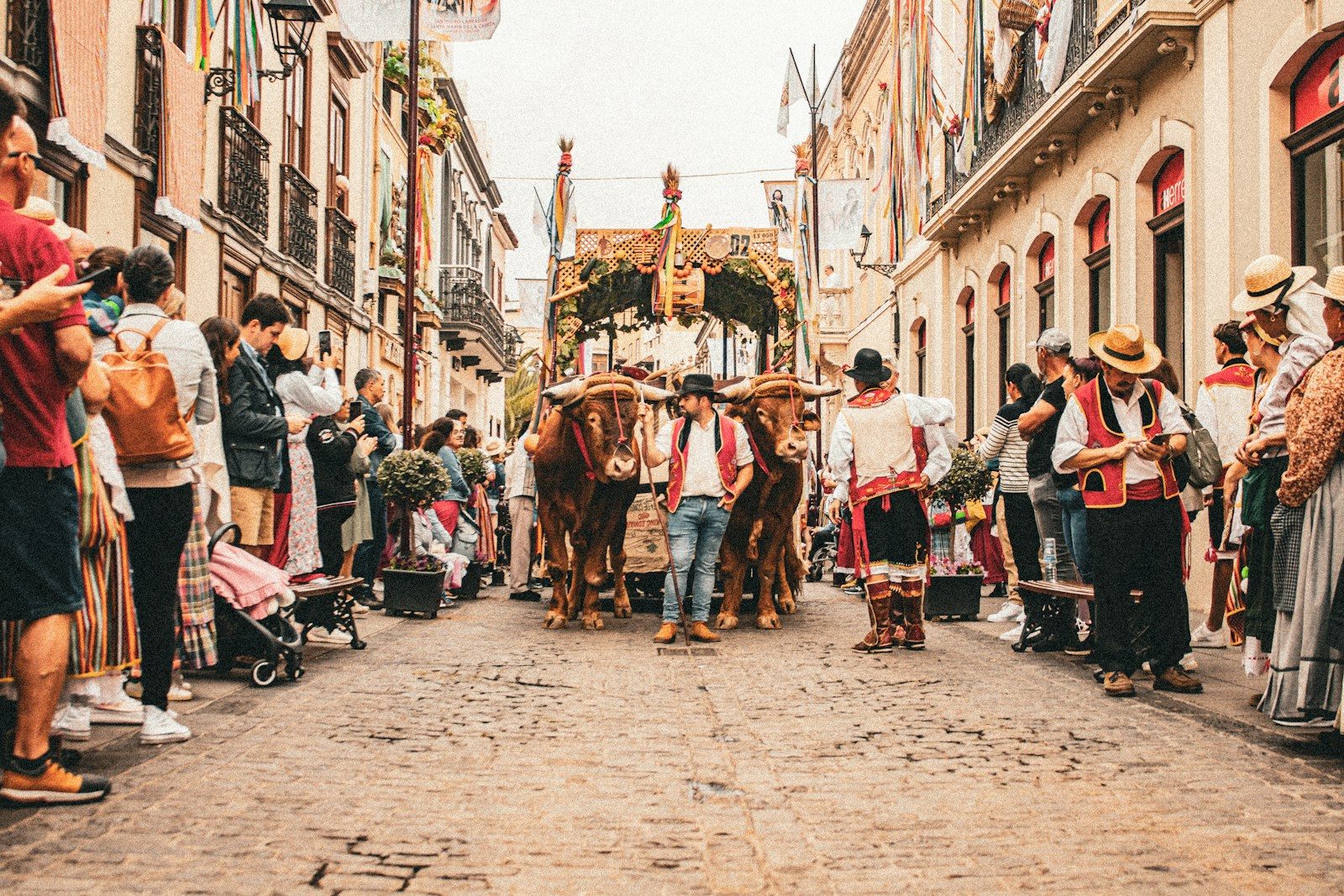 Canary Islands Excursions: The Ultimate Adventure Guide