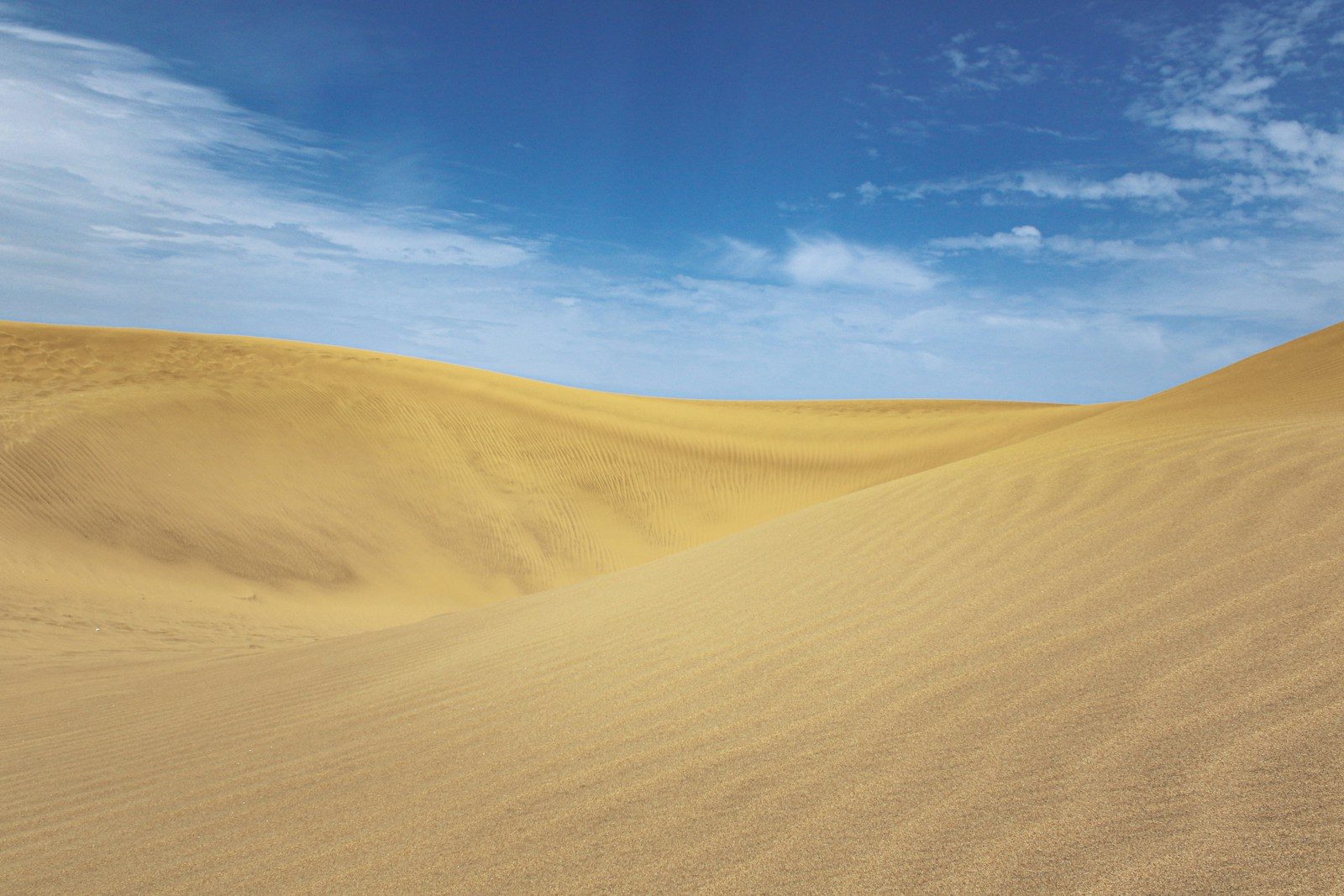 Canary Islands Dunes: 5 Epic Sand Dunes to Visit