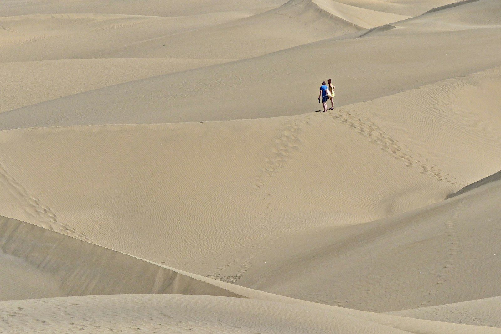 Canary Islands Dunes: Where to Find the Best Sand Seas