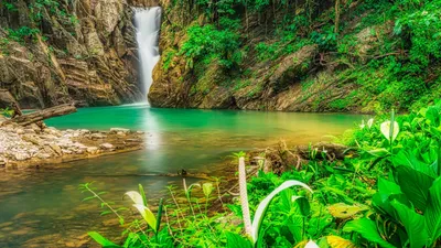 Paria Waterfall: Trinidad’s Hidden Jungle Paradise