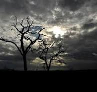 E-Swatini Weather Guide: Best Time to Visit + Tips