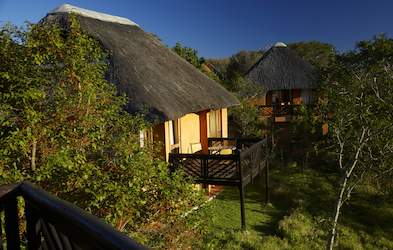 Hluhluwe Hotels Guide: Luxury vs Budget Truth