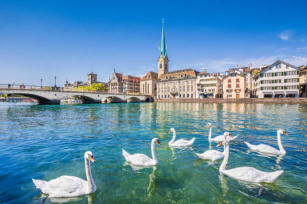 What Locals Wish Tourists Knew About Zurich Switzerland