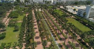 Parc de la Ligue Arabe Guide: What to See & Do