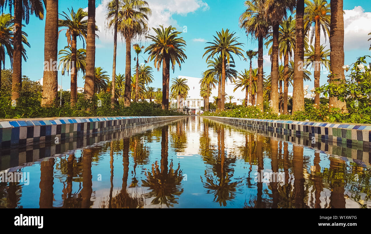 Parc de la Ligue Arabe: Casablanca’s Hidden Oasis